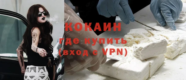 мет Ельня