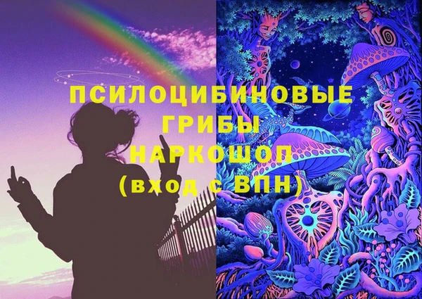 мет Ельня