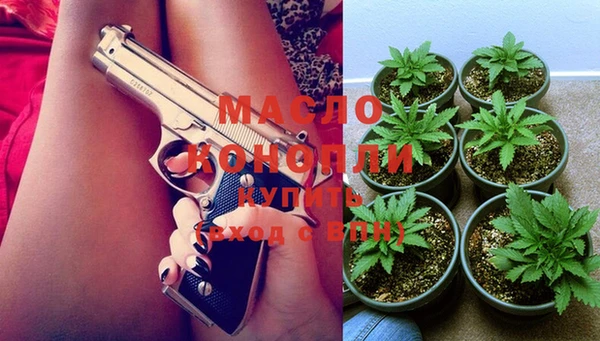 мет Ельня