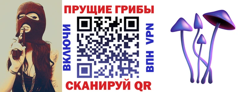 Галлюциногенные грибы Psilocybine cubensis Покровск